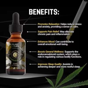 ACEITE DE CÁÑAMO CON CBD 20% - 30ML