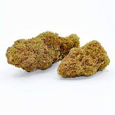 Orange BUD