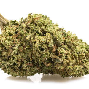 BUBBLE gum