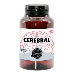 CEREBRAL