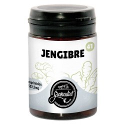 JENGIBRE