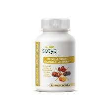 Reishi, maitake y shiitake