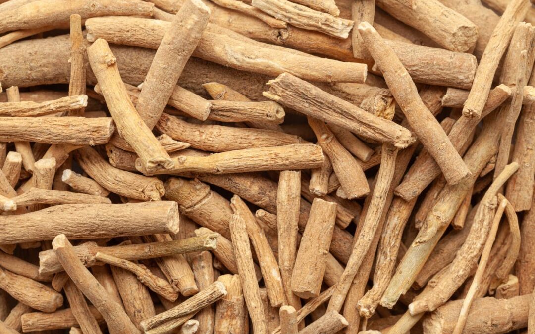 Ashwagandha KSM-66: El Adaptógeno Milenario que Calma el Estrés y Mejora el Sueño