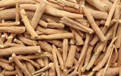 Ashwagandha KSM-66: El Adaptógeno Milenario que Calma el Estrés y Mejora el Sueño